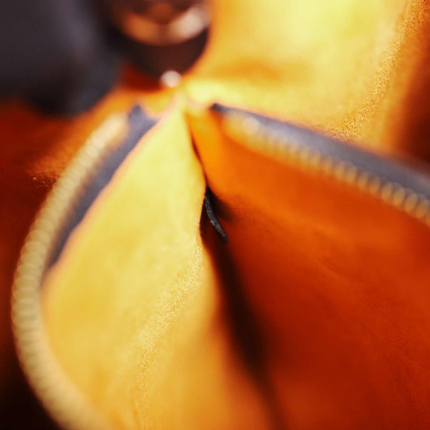 Pre-Owned Louis Vuitton  Jungle NeoNoe Caramel Calfskin Shoulder Bag 48583201