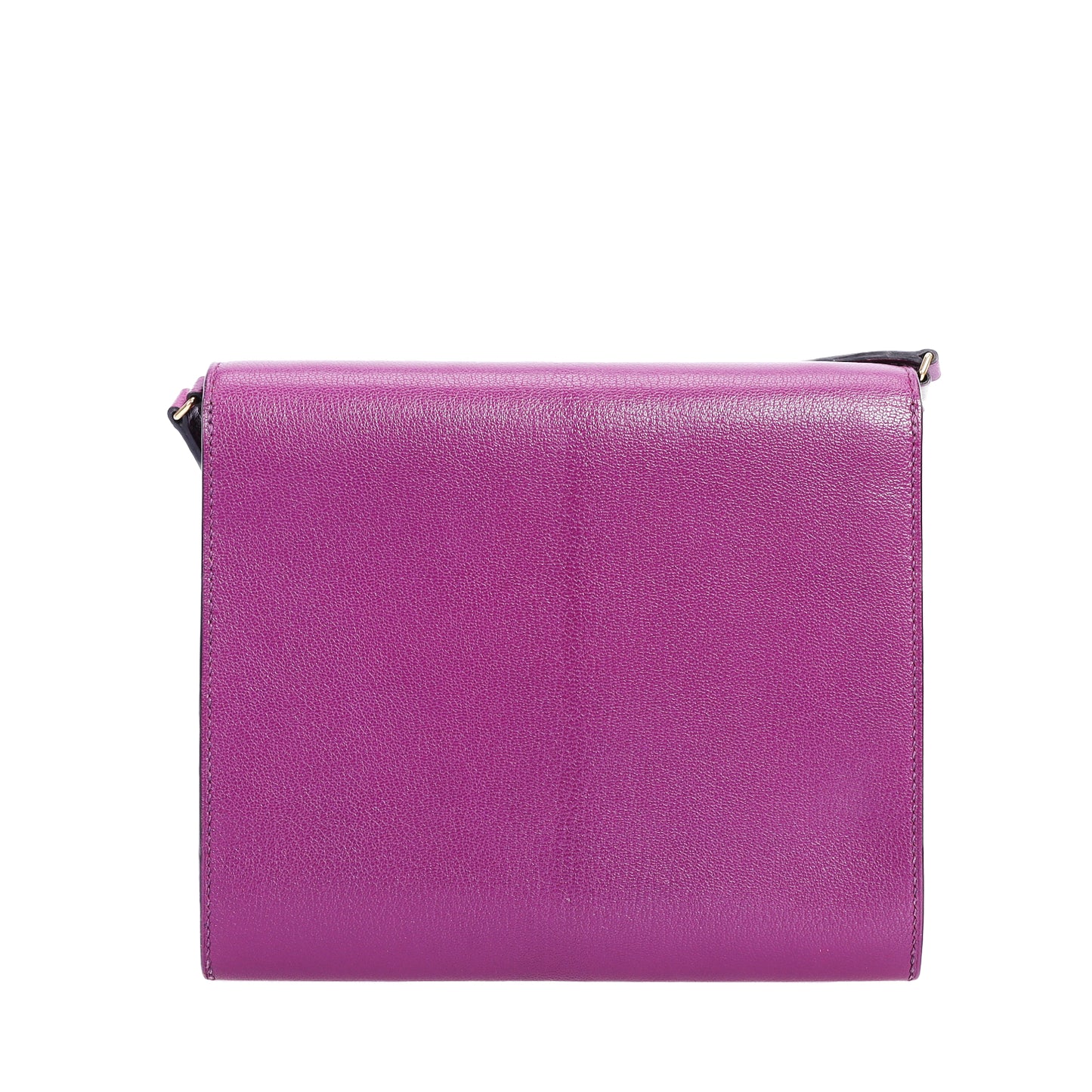 Pre-Owned Hermès Cinhetic Anemone Chevre Mysore Shoulder Bag 98072288L