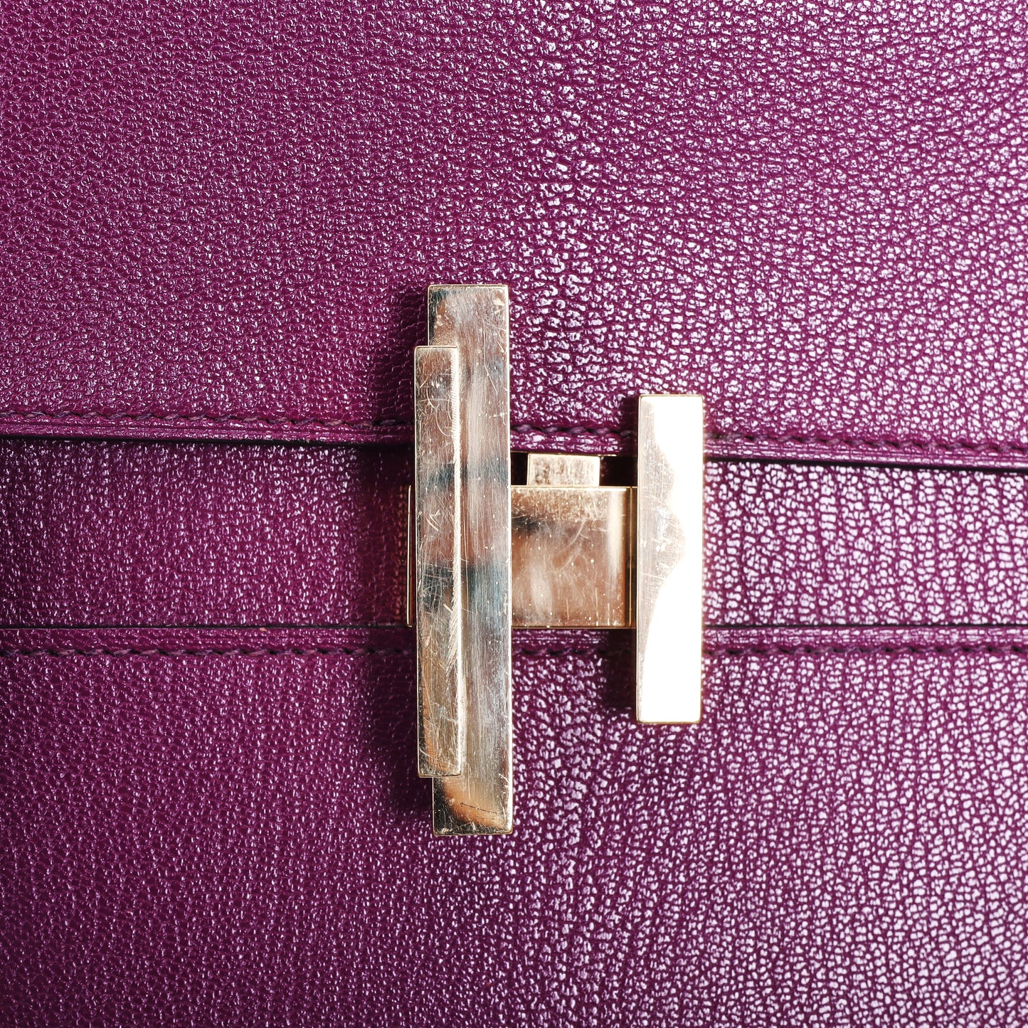 Pre-Owned Hermès Cinhetic Anemone Chevre Mysore Shoulder Bag 98072288L